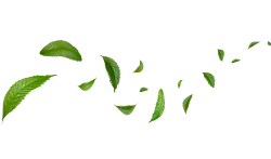 decor-tiktok-leaf